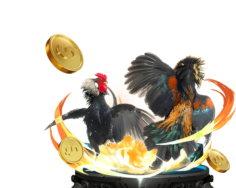 Sự kiện đặc biệt B29 Win